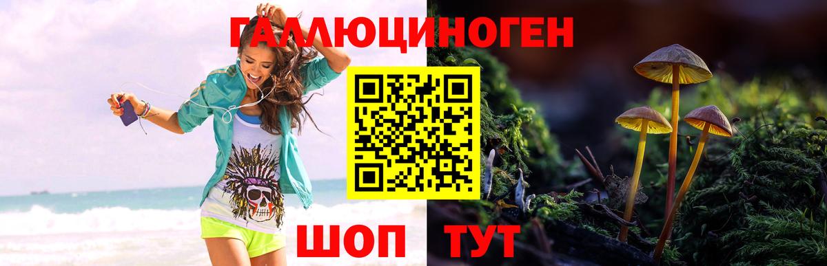 хочу наркоту  Галлюциногенные грибы ЛСД  Вход с VPN  Верхний Уфалей 